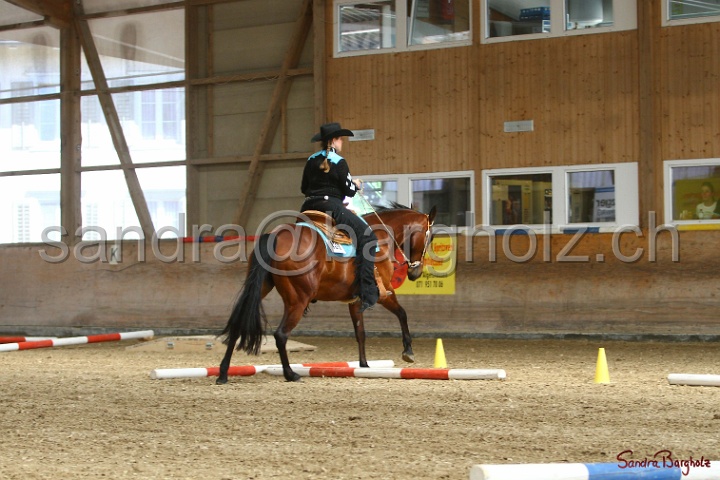 26-ApHC GT_080.jpg
